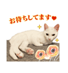 Kさん家のミル その2（個別スタンプ：3）