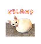Kさん家のミル その2（個別スタンプ：7）
