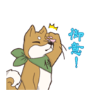 日本が大好き！茶太之助（ちゃたのすけ）君（個別スタンプ：5）