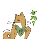 日本が大好き！茶太之助（ちゃたのすけ）君（個別スタンプ：6）