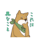 日本が大好き！茶太之助（ちゃたのすけ）君（個別スタンプ：9）