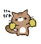 函館に住んでいる猫チャモのスタンプ（個別スタンプ：9）
