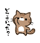 函館に住んでいる猫チャモのスタンプ（個別スタンプ：15）