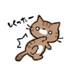 函館に住んでいる猫チャモのスタンプ（個別スタンプ：18）