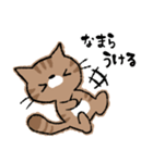 函館に住んでいる猫チャモのスタンプ（個別スタンプ：21）