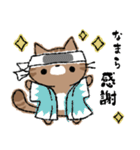 函館に住んでいる猫チャモのスタンプ（個別スタンプ：32）