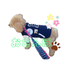 昊空の日常part2（個別スタンプ：4）