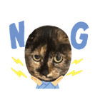 あわねこ保育園の園児たち①（個別スタンプ：13）