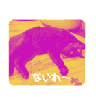 あわねこ保育園の園児たち①（個別スタンプ：39）