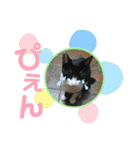 Caw＆Mow(=^ェ^=)3周年記念（個別スタンプ：3）
