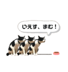 Caw＆Mow(=^ェ^=)3周年記念（個別スタンプ：6）