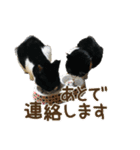 Caw＆Mow(=^ェ^=)3周年記念（個別スタンプ：20）