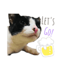 Caw＆Mow(=^ェ^=)3周年記念（個別スタンプ：22）