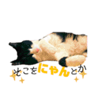 Caw＆Mow(=^ェ^=)3周年記念（個別スタンプ：32）