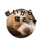 ♡うるこくstamp♡（個別スタンプ：9）