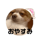 ♡うるこくstamp♡（個別スタンプ：11）