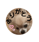 ♡うるこくstamp♡（個別スタンプ：19）