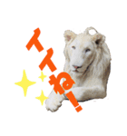 ＊お気に入り動物園のアニマル達＊第2弾（個別スタンプ：7）