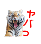 ＊お気に入り動物園のアニマル達＊第2弾（個別スタンプ：9）