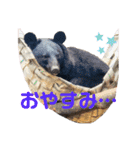 ＊お気に入り動物園のアニマル達＊第2弾（個別スタンプ：12）