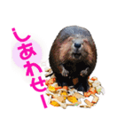 ＊お気に入り動物園のアニマル達＊第2弾（個別スタンプ：16）