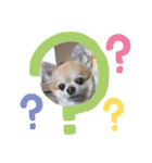 せんたろうスタンプ（個別スタンプ：1）