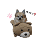 せんたろうスタンプ（個別スタンプ：2）