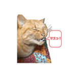 ゾロ多めマルコ少なめ（個別スタンプ：3）