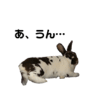 ロッキーくんと申します。（個別スタンプ：5）