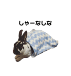 ロッキーくんと申します。（個別スタンプ：18）