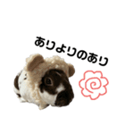 ロッキーくんと申します。（個別スタンプ：20）