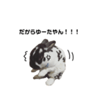 ロッキーくんと申します。（個別スタンプ：32）
