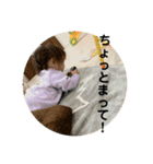 ちあきの成長（個別スタンプ：13）