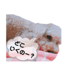 ちょこの一日（個別スタンプ：36）