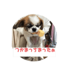 カリンのつぶやき（個別スタンプ：1）
