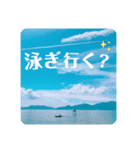 波輝cafe（個別スタンプ：1）