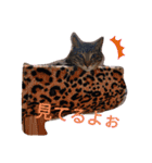 ユーイチローとリリ（個別スタンプ：5）