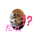 ユーイチローとリリ（個別スタンプ：12）