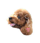 山形クウ（個別スタンプ：3）