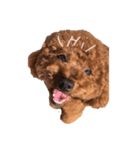 山形クウ（個別スタンプ：5）