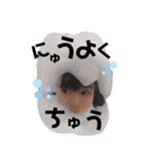 くうちゃまのスタンプ（個別スタンプ：17）