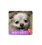 すいかナイス！（個別スタンプ：3）