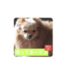 すいかナイス！（個別スタンプ：4）