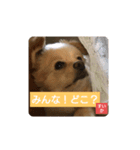 すいかナイス！（個別スタンプ：5）