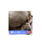 すいかナイス！（個別スタンプ：7）