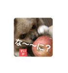 すいかデス。（個別スタンプ：8）