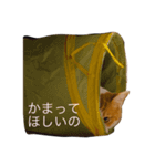 つくぼんのいるせいかつ(日常)（個別スタンプ：15）