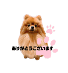 チャイさんスタンプ（個別スタンプ：2）