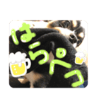 コテちゃん♡（個別スタンプ：7）