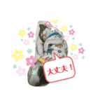 猫のむぎのスタンプ その2（個別スタンプ：2）